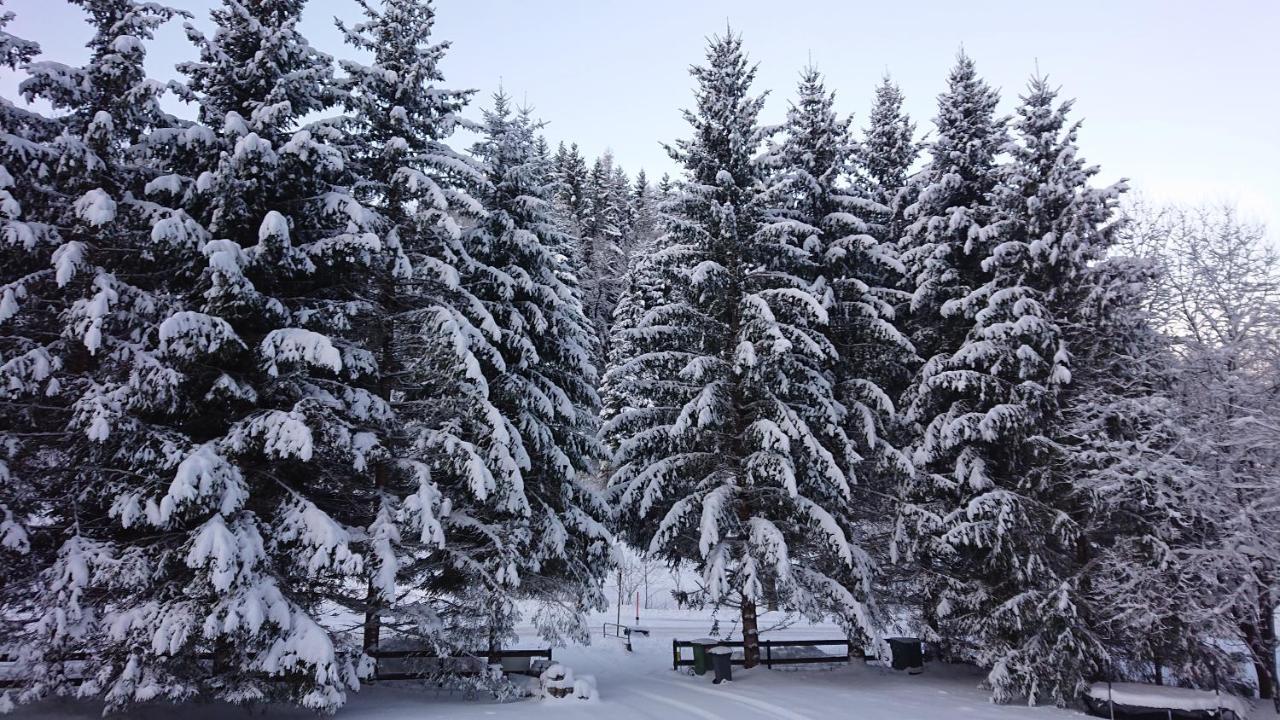 Am Kaltenbach - Spital Am Semmering, Stuhleck Exterior foto